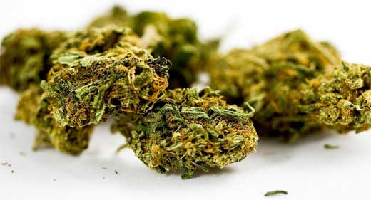 COSMETICA CANNABIS