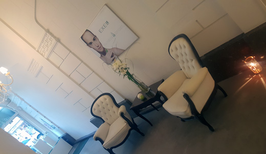 EXEL INSTITUTE CENTRAL