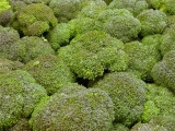 BOP: una nueva proteína del brócoli que frenaría el envejecimiento cutáneo